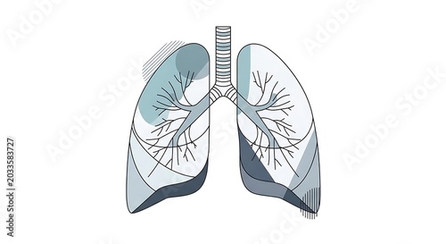 Blue and white lungs with stethoscope on white background.