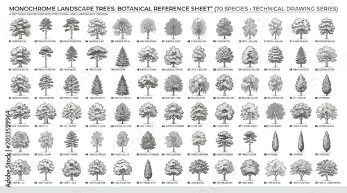Monochrome landscape trees botanical reference sheet with 70 different species for architectural design