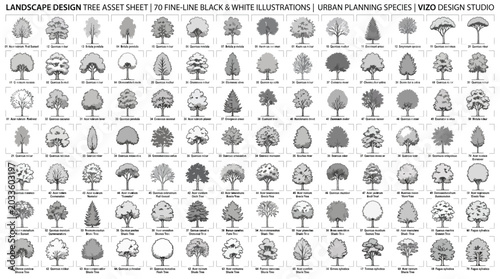 Landscape design tree asset sheet with 70 fineline black and white illustrations of urban planning species