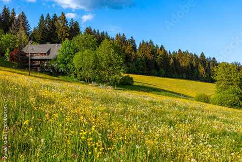 Typical farmhouse near Titisee in the Black Forest