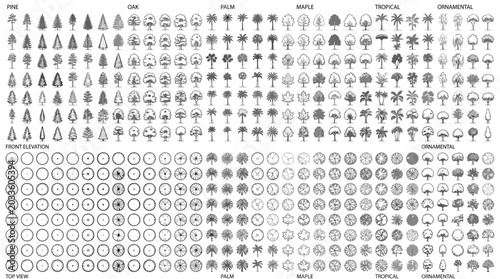 Set of various tree species in front elevation and top view for architectural landscape design