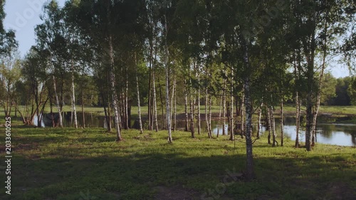 Aerial survey of forest by the river, flooded forest, forest at sunset