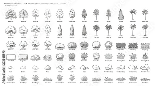 Architectural vegetation archive monochrome symbol collection for landscape design and site plans
