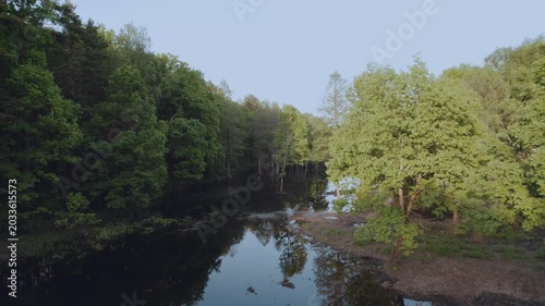 Aerial survey of forest by the river, flooded forest, forest at sunset