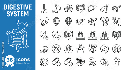 Bild auf Leinwand Digestive system web icons in line style