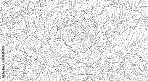 Intricate seamless pattern of hand-drawn cabbage leaves with detailed textures and veins in a black and white line art style.