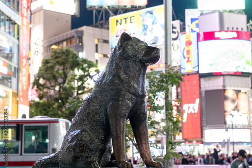 夜の忠犬ハチ公（東京都渋谷区）