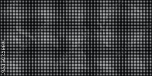 Photos Dark mysterious leafy plant shadows fall on a rugged natural surface