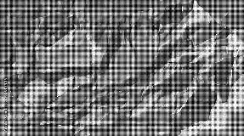 Bild auf Leinwand A grayscale image of crumpled paper with rugged texture and transparent backgrou