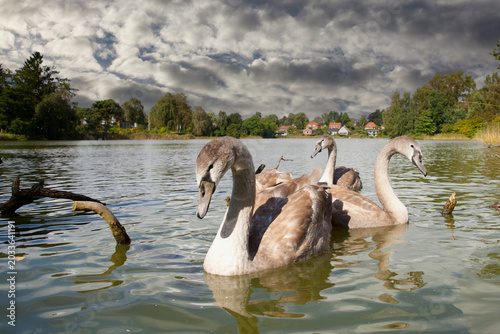 Birkerod Denmark