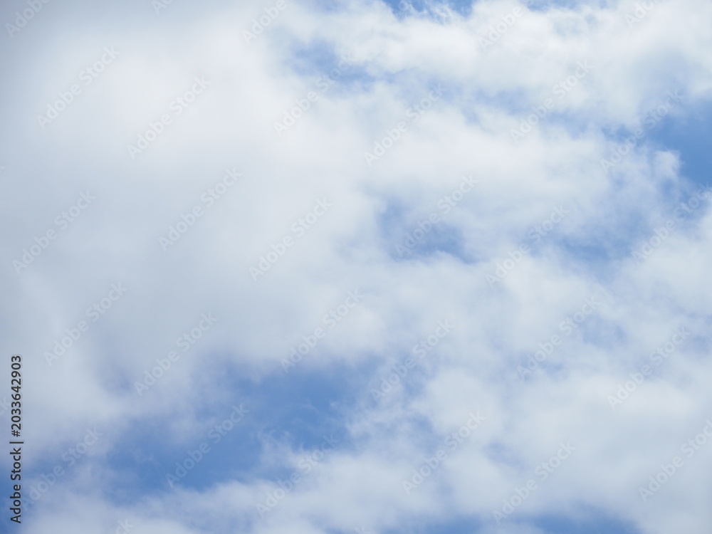 Obraz premium 青空と白い雲