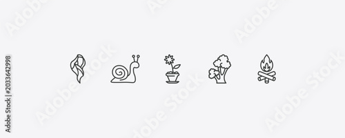 фотографія nature outline icon set
