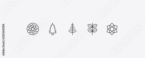Fotografie nature outline icon set