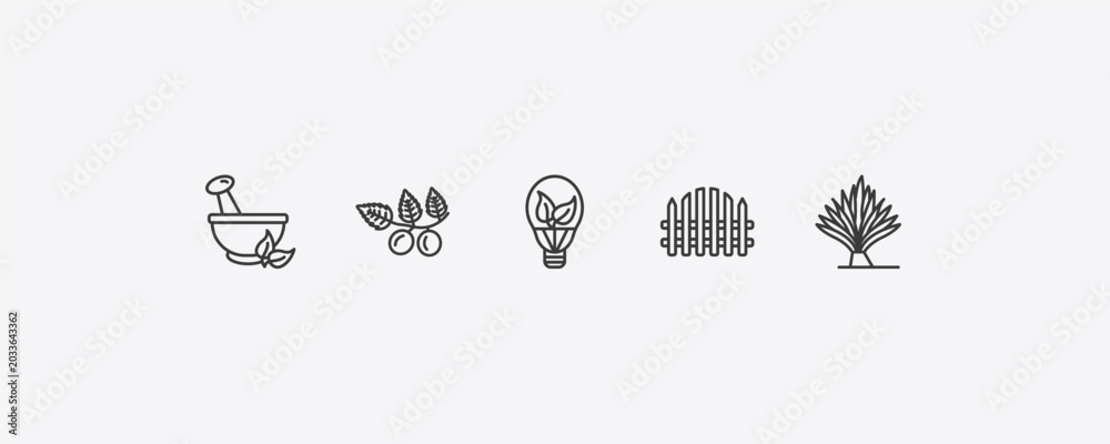 Фотография nature outline icon set