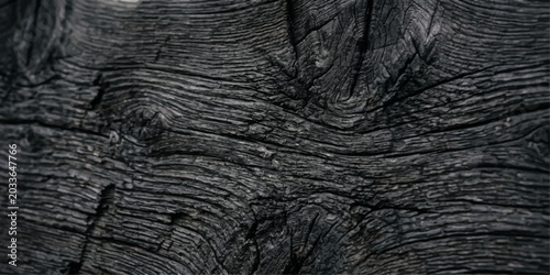 Tableau sur toile Close up of elephant skin texture with rough natural brown pattern, abstract ani