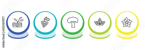 Photos nature outline icon set