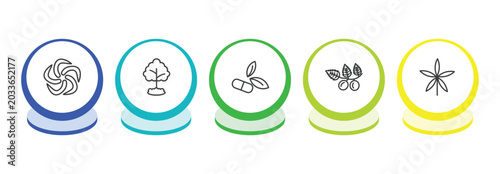 Fotografie nature outline icon set