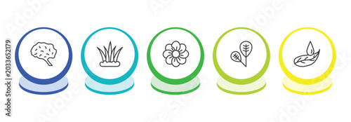 Tableau sur toile nature outline icon set
