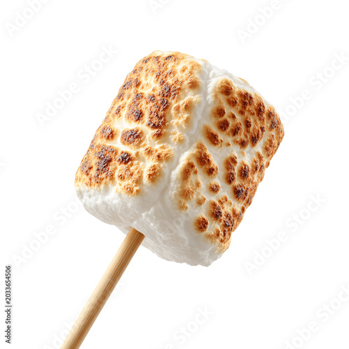 Toasted Marshmallow on Stick on Transparent Background - Isolated