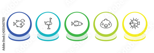Canvas Print animals outline icon set