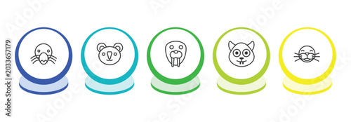 Photography animals outline icon set
