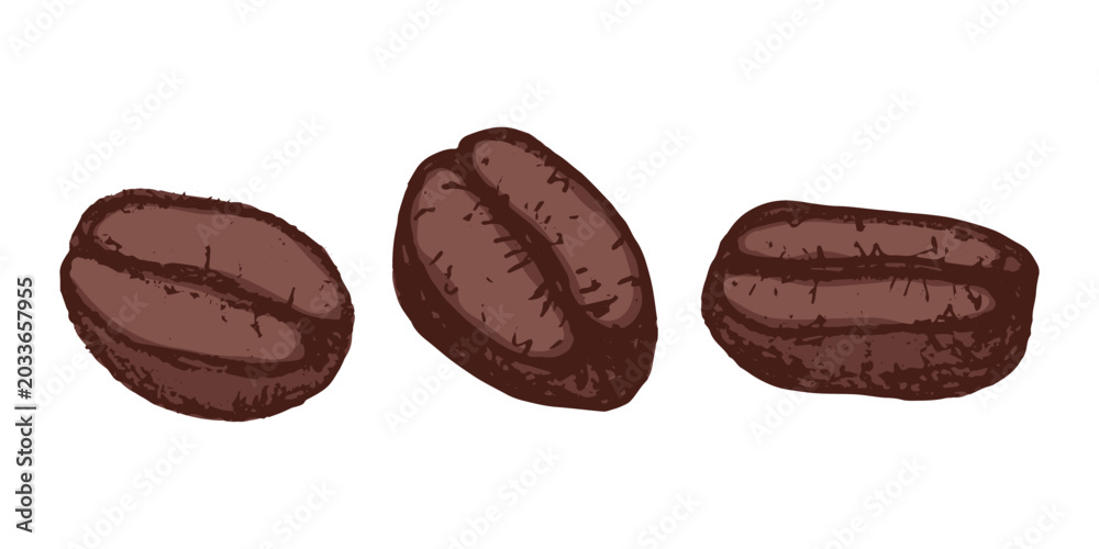 Fototapeta premium Set of hand drawn fresh roasted coffee bean Arabica robusta seed doodle Single element for design print packaging label decor