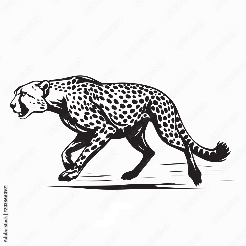 Fototapeta premium Cheetah Sprinting Wildlife Animal Vector Illustration On White Background