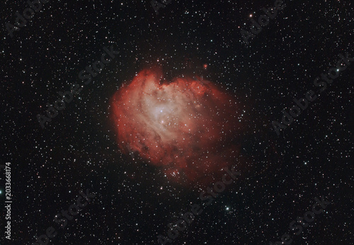 Photography Monkey Head Nebula NGC 2174 with starry background