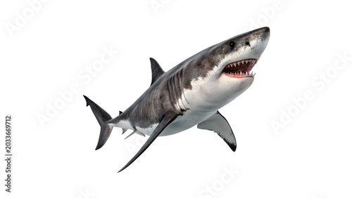 Foto Wild predatory grey shark swimming gracefully for marine nature and dangerous oc