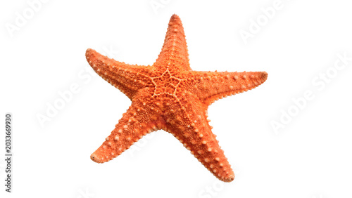Foto Vibrant orange starfish or sea star with realistic bumpy skin texture for tropic
