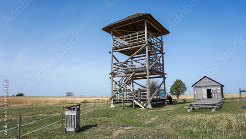 Quadro em tela Wooden observation tower in Randu Plavas meadow landscape used for birdwatching