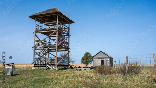 Εκτύπωση καμβά Wooden observation tower in Randu Plavas meadow landscape used for birdwatching