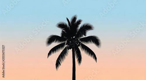 Black palm tree silhouette against a soft sunset gradient