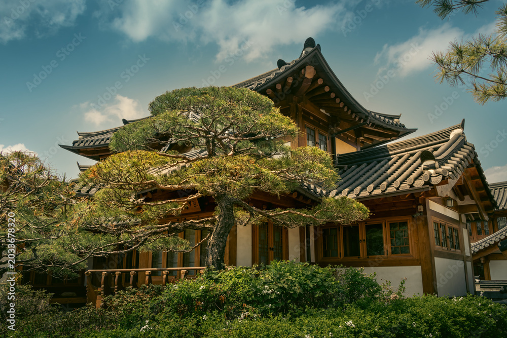 Naklejka premium Beautiful traditional Korean hanok house with elegant pine tree