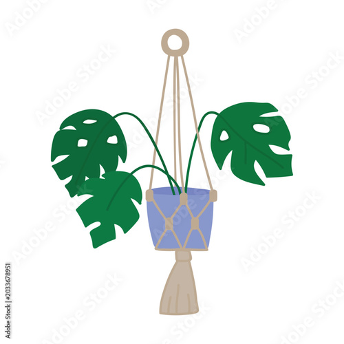 Minimalist flat illustration of a hanging monstera plant in macrame planter.