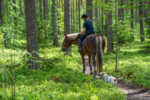 Woman horseback riding in forest