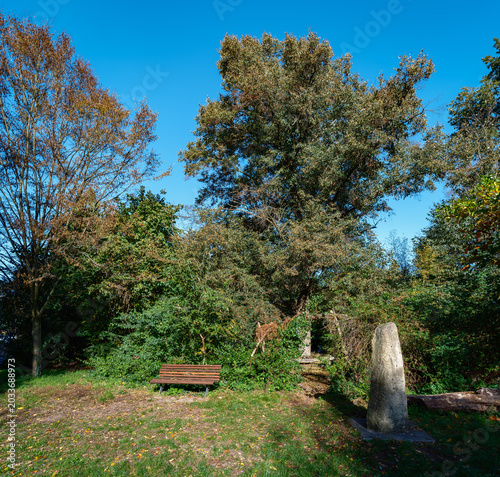 Idyllische Lichtung mit Sitzbank und Steinstele im herbstlichen 