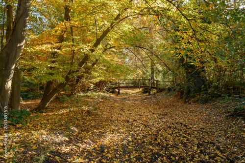 Ausgetrockneter künstlicher Flusslauf im herbstlichen 