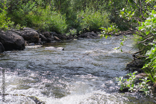 Close up of Rushing Mountain Stream Water and White Rapids in Swedish Lapland