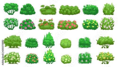 Принти на полотні Green garden shrubs