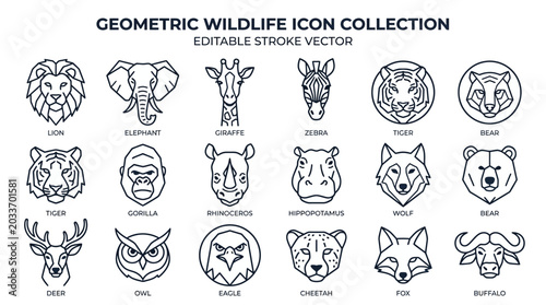 Photography Geometric wildlife icons in outline style.