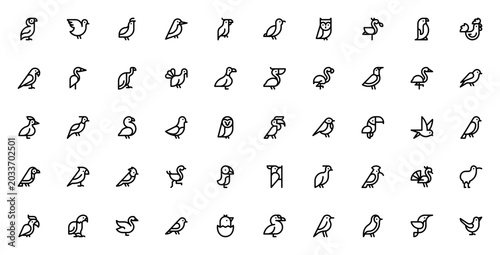 Photos Birds icon set