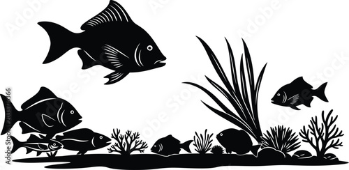 Cuadro en lienzo Black Fish Swimming Above Seaweed on Ocean Floor