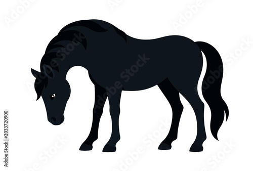 Bild auf Leinwand Black Horse Silhouette Standing.