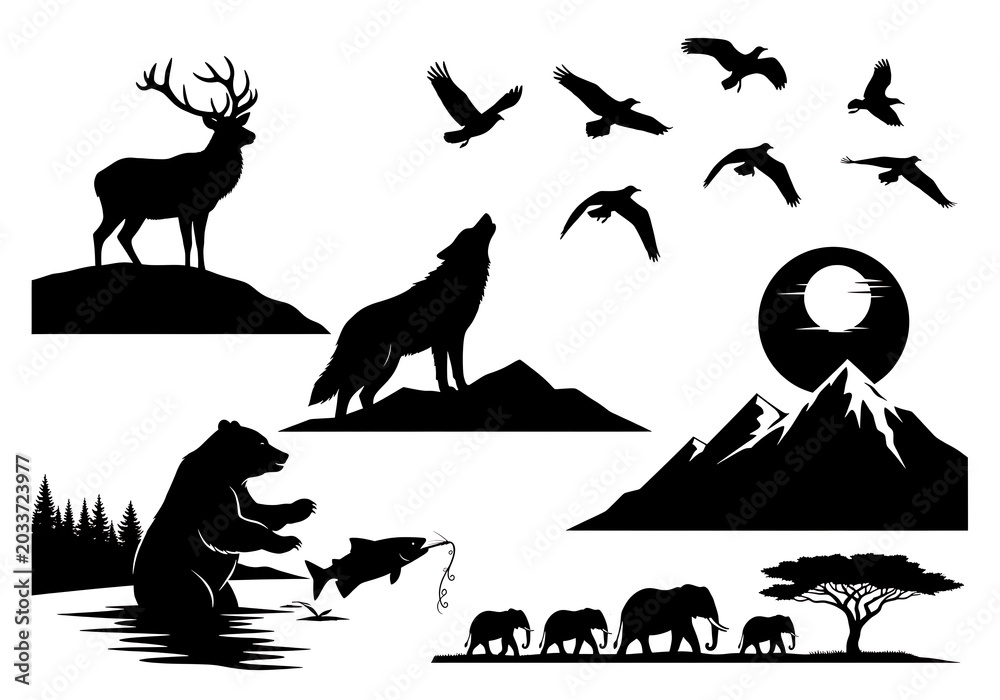 Fototapeta premium Black Silhouette Wildlife Animals Deer Wolf Bear Birds Elephants Tree Mountains Sunset