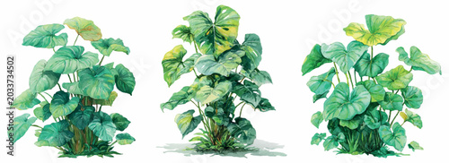 Принти на полотні Lush green tropical plants appearing as watercolor illustrations, showing vibran