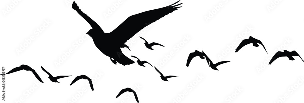 Fototapeta premium Black Birds Flying Silhouette Isolated on White Background