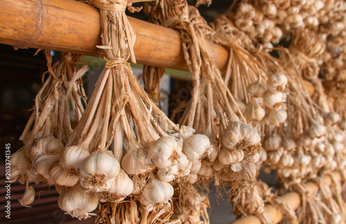 Dried Garlic Bunches Hanging on Bamboo Pole