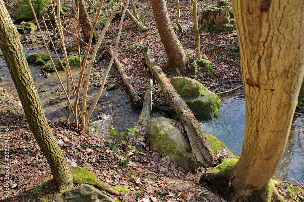 Fototapeta premium Patensteig Extertal Findlinge im Bach