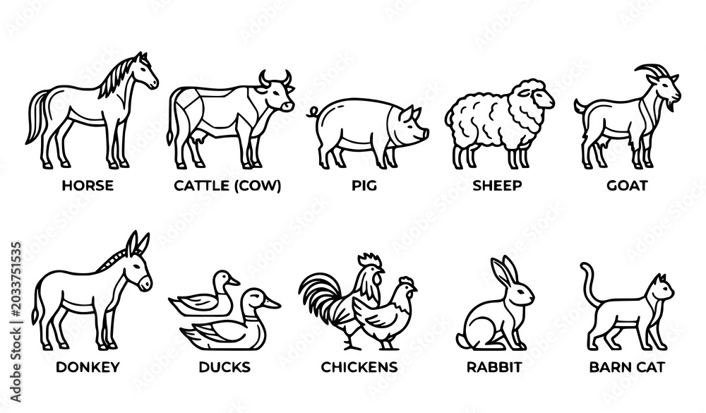 Fototapeta premium Farm Animal Outline Vector Set with Minimal Rural and Agricultural Icons